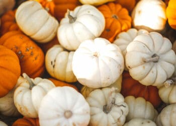National Pumpkin Day celebrates the iconic orange fruit