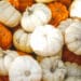 National Pumpkin Day celebrates the iconic orange fruit