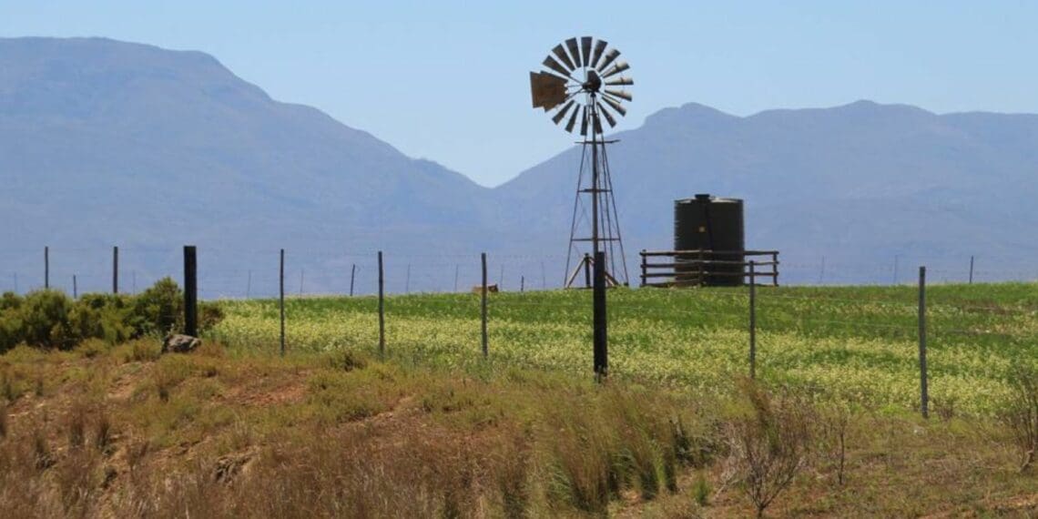ICYMI: Farmers urged to pull up their El Niño socks quickly