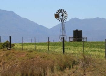 ICYMI: Farmers urged to pull up their El Niño socks quickly