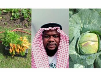 Tyobeka uses backyard garden as launch pad for bigger things