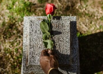Sangomas vs farmers: Navigating sacred rites and private lands