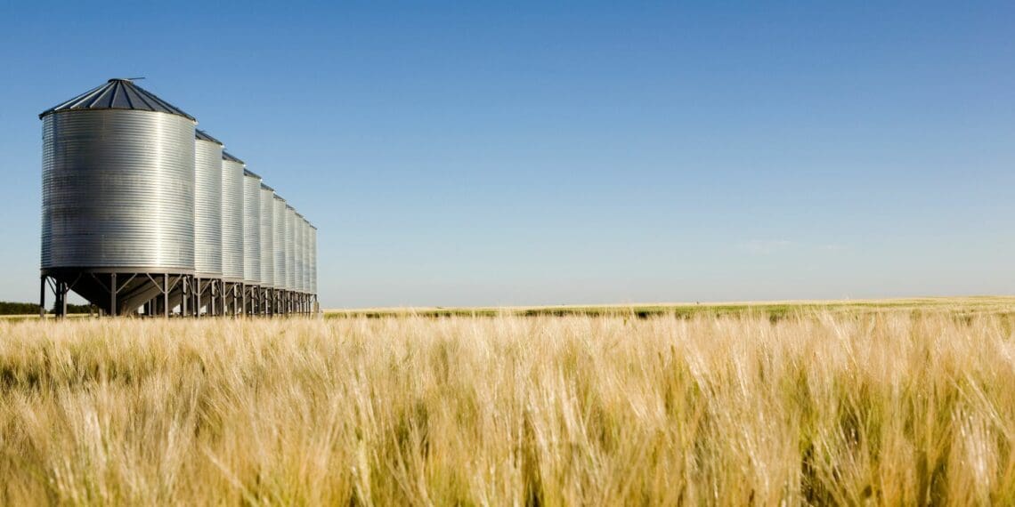 Standardisation holds the key to insuring SA's grain storage