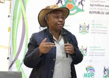 ICYMI: NW govt finally answers farmers' veld fires SOS call