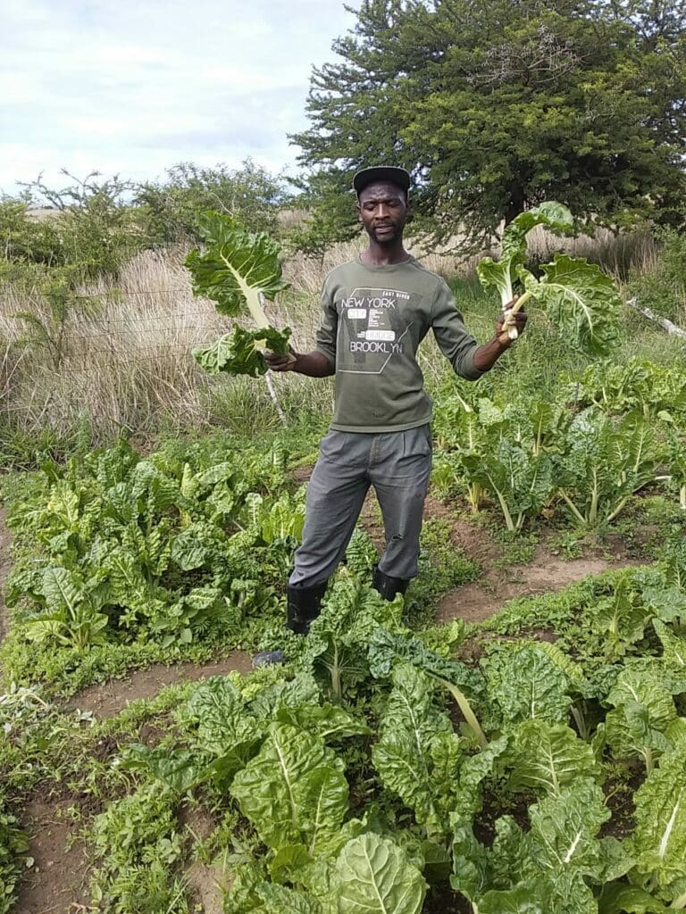 Sibling success! Gudwana, Halile plant their way to freedom