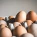 Bird flu: Contingency plan keeps egg production ticking over
