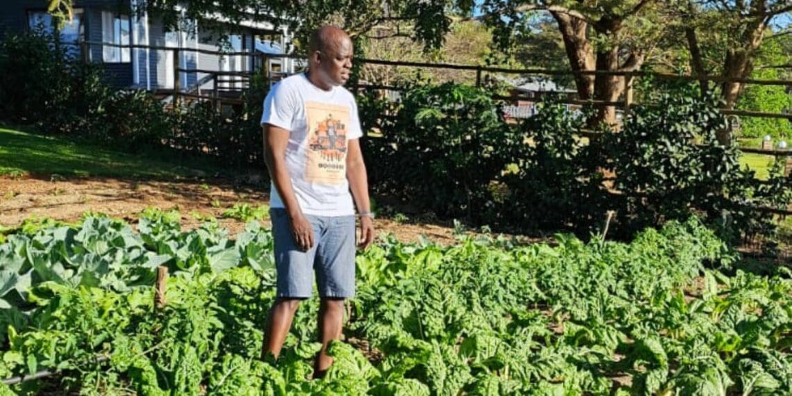 Food gardens: AgriSETA’s CEO inspires churches and households