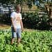 Food gardens: AgriSETA’s CEO inspires churches and households