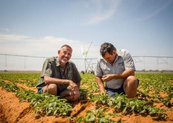 Agrico and Nedbank team up to offer farmers nifty financing plans