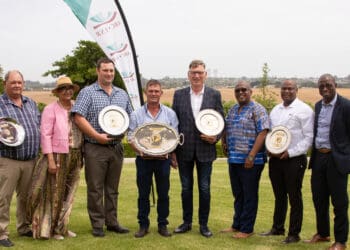 Dairy industry needs to milk sustainability and woo the youth