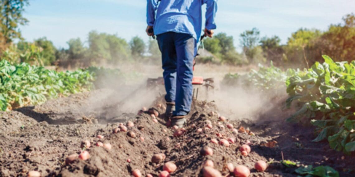 Black Friday: Four top purchase ideas to boost your agri enterprise