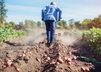 Black Friday: Four top purchase ideas to boost your agri enterprise