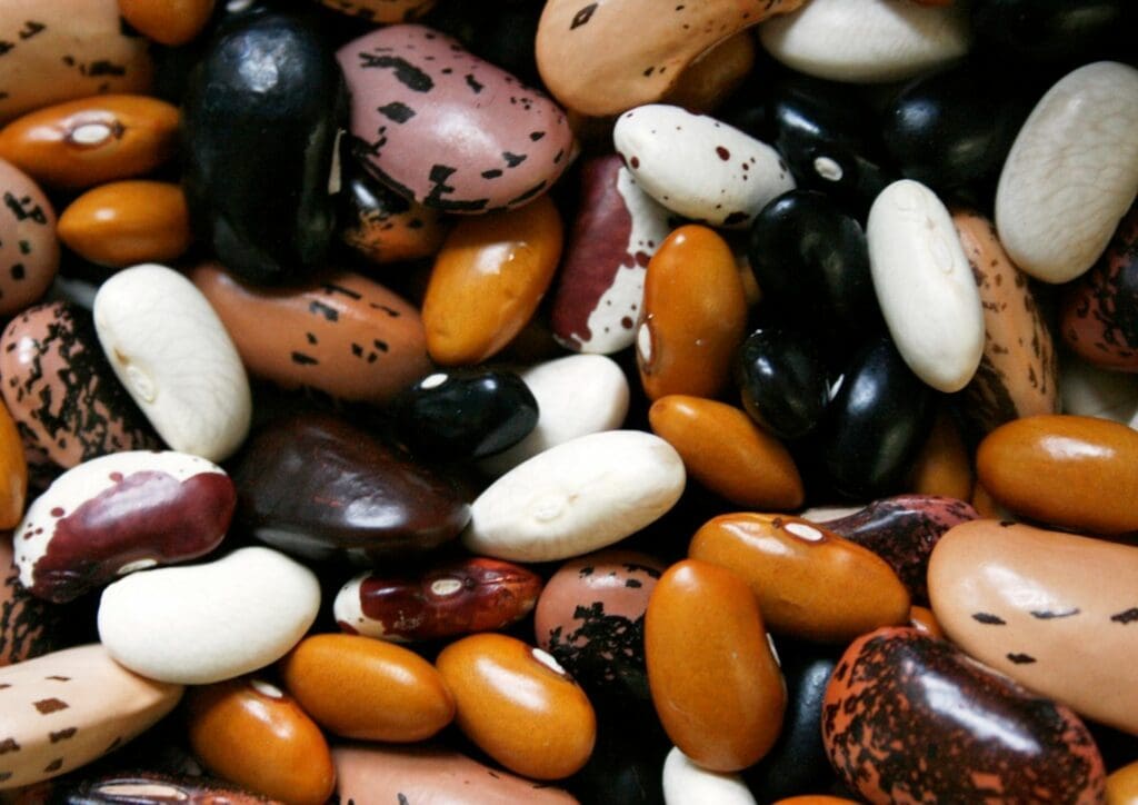 Vegan Day: Give these poultry alternatives a fighting chance