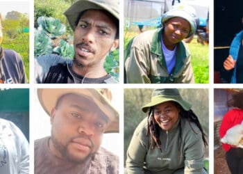 Food for Mzansi gives voiceless farmers a much-needed voice