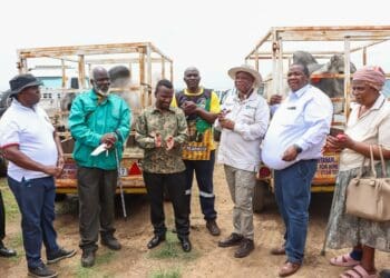 ICYMI: MEC Zuma has big agri-revival plans up his sleeve for KZN