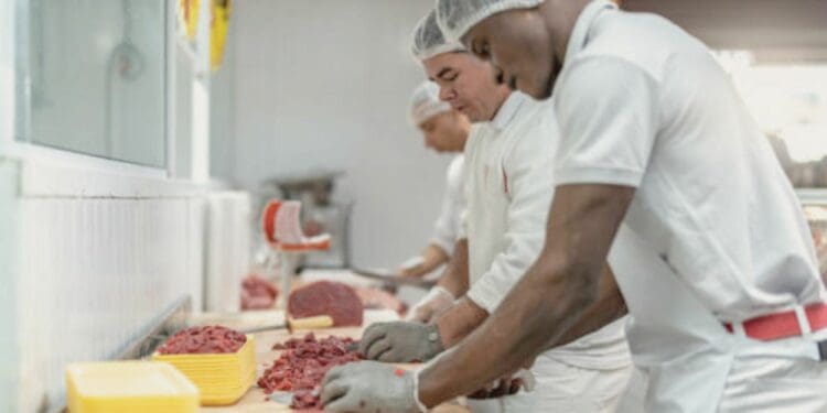 Meat classification: An essential guide for livestock farmers - Food ...