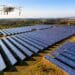 Bureau Veritas has taken a bold step toward undertaking a solar and back-up project that allows it to sustain its business continuity for its Cape Town AgriFood Laboratory. Photo: Supplied/Food For Mzansi