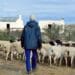 Karoo lamb for the win! GI status enlivens local producers