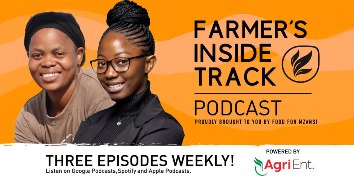 Podcast: Agri Enterprises helps women farmers flourish