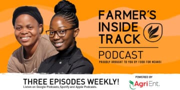 Podcast: Agri Enterprises helps women farmers flourish