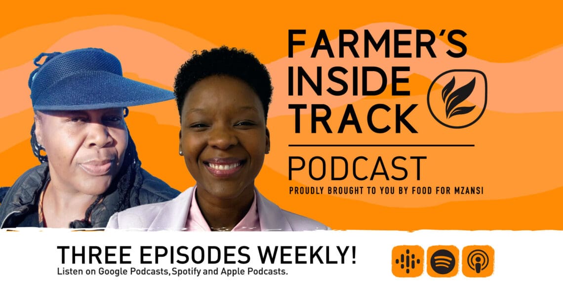 Podcast: Why sorghum oozes with appeal for farmers