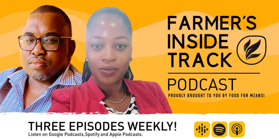Podcast: Chewing over meat classification in Mzansi