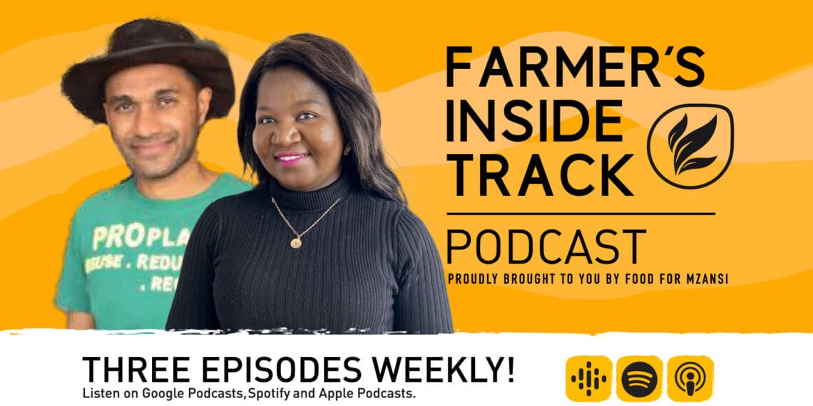 Podcast: How to access fresh produce markets in SA