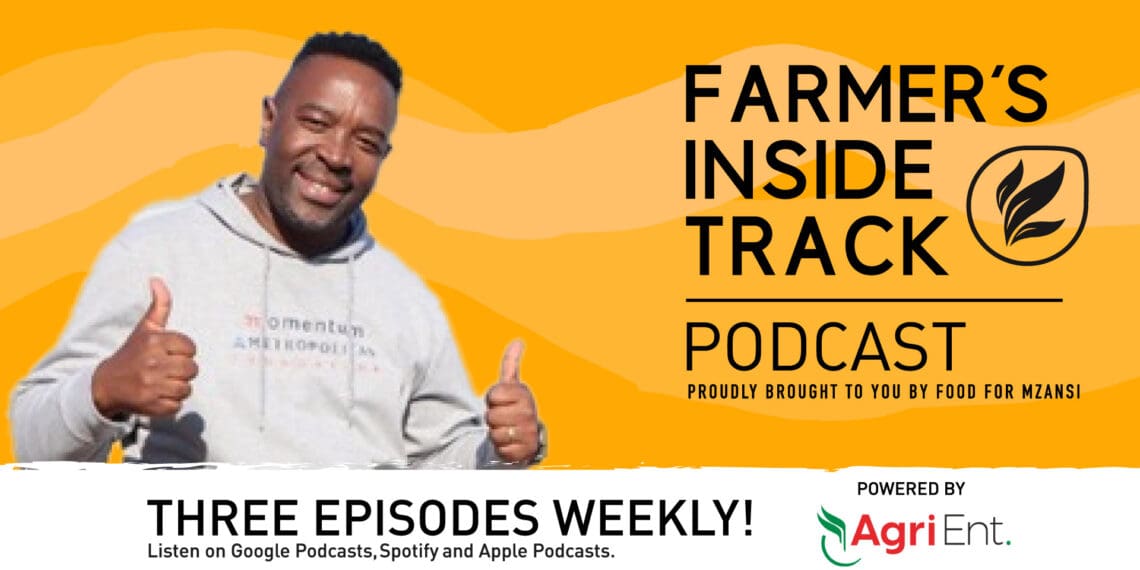 Podcast: Momentum Metropolitan helps women farmers fly high