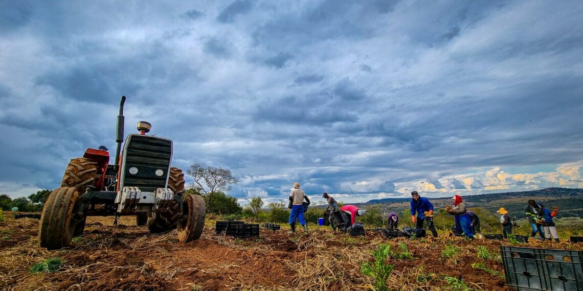 CPAs need good governance for private-sector land reform support