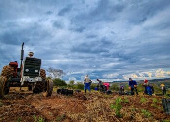 CPAs need good governance for private-sector land reform support
