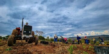 CPAs need good governance for private-sector land reform support