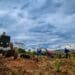 CPAs need good governance for private-sector land reform support