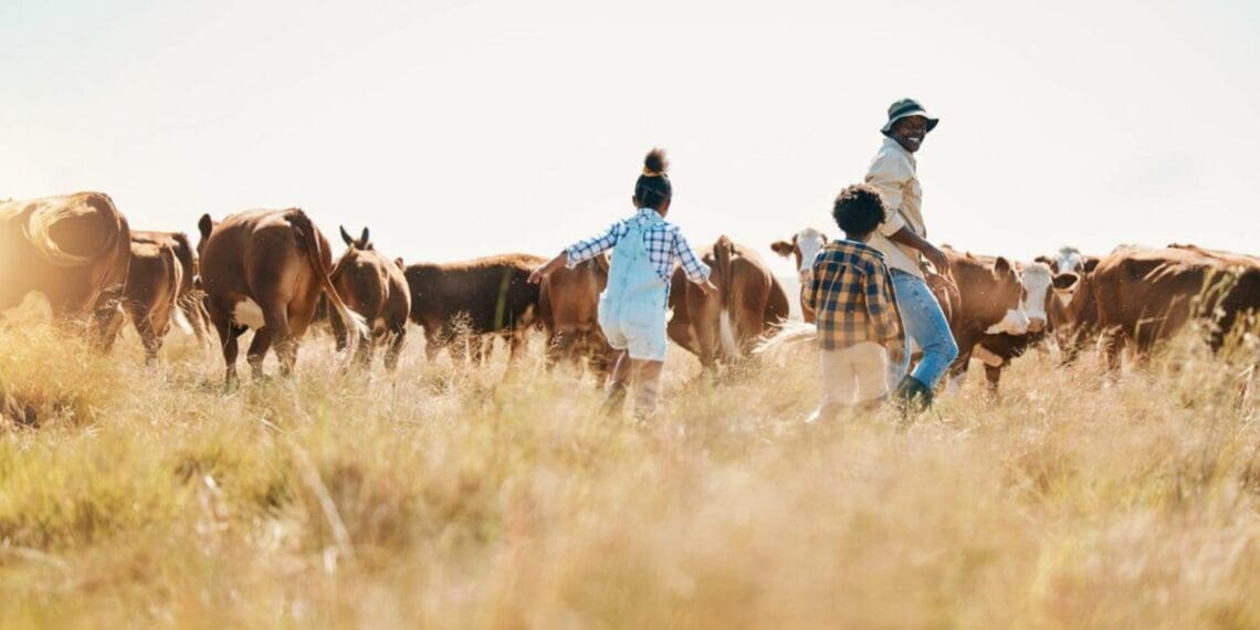 Need some fresh air? Here are five farm escapes worth visiting