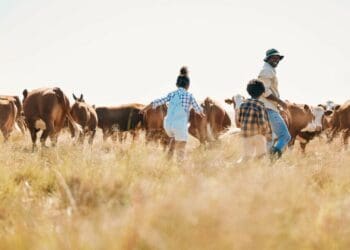Need some fresh air? Here are five farm escapes worth visiting