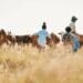 Need some fresh air? Here are five farm escapes worth visiting