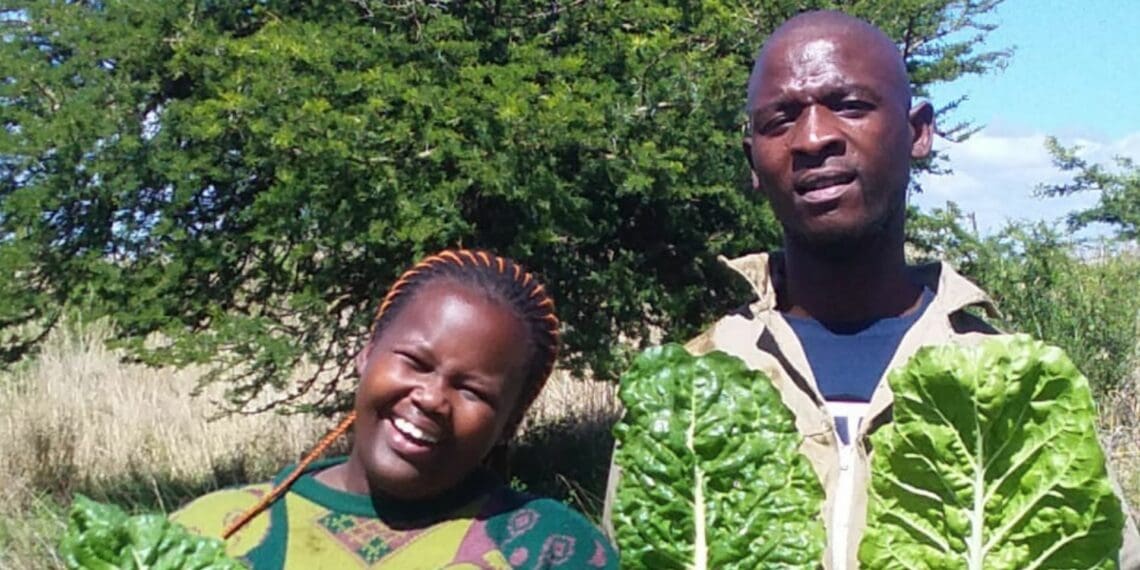 Sibling success! Gudwana, Halile plant their way to freedom