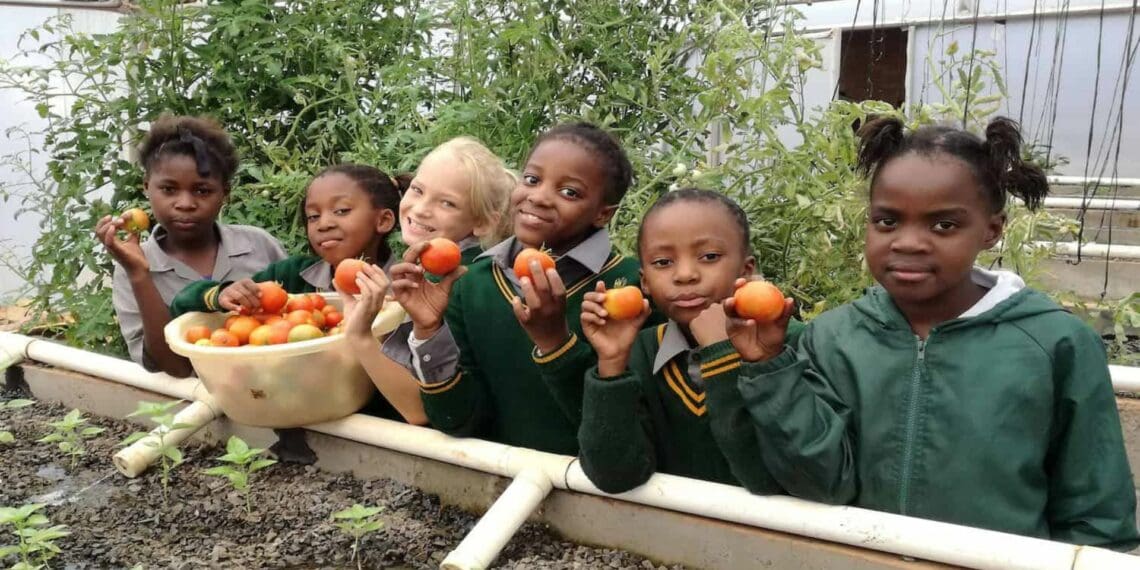 ICYMI: INMED South Africa sparks global food system renaissance