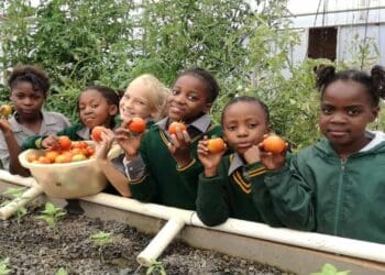 ICYMI: INMED South Africa sparks global food system renaissance