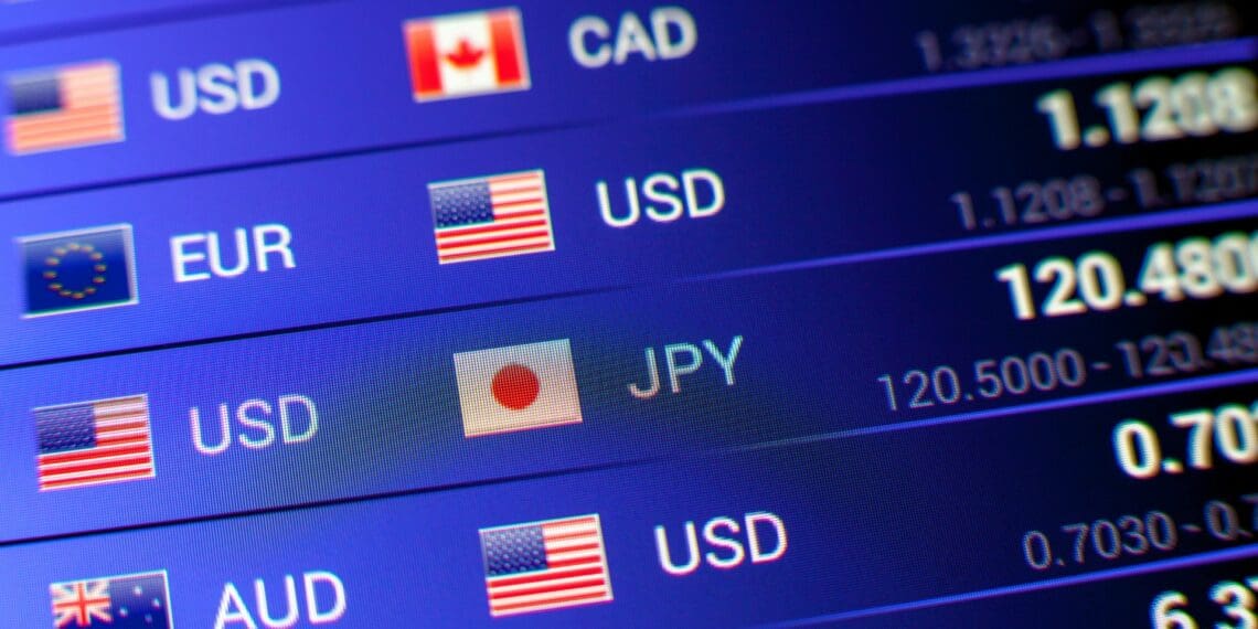 Think of forex as a global money exchange game between countries – swapping their cash for another's. In farming, it’s the magic behind determining the pay check farmers pocket when their goods fly off to foreign lands. Photo: Supplied/Food For Mzansi