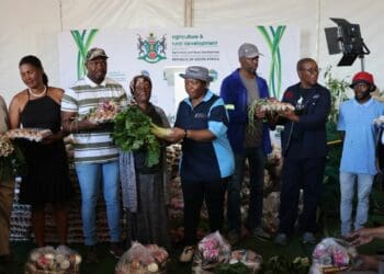 ICYMI: NW govt equips 500 households with food garden inputs