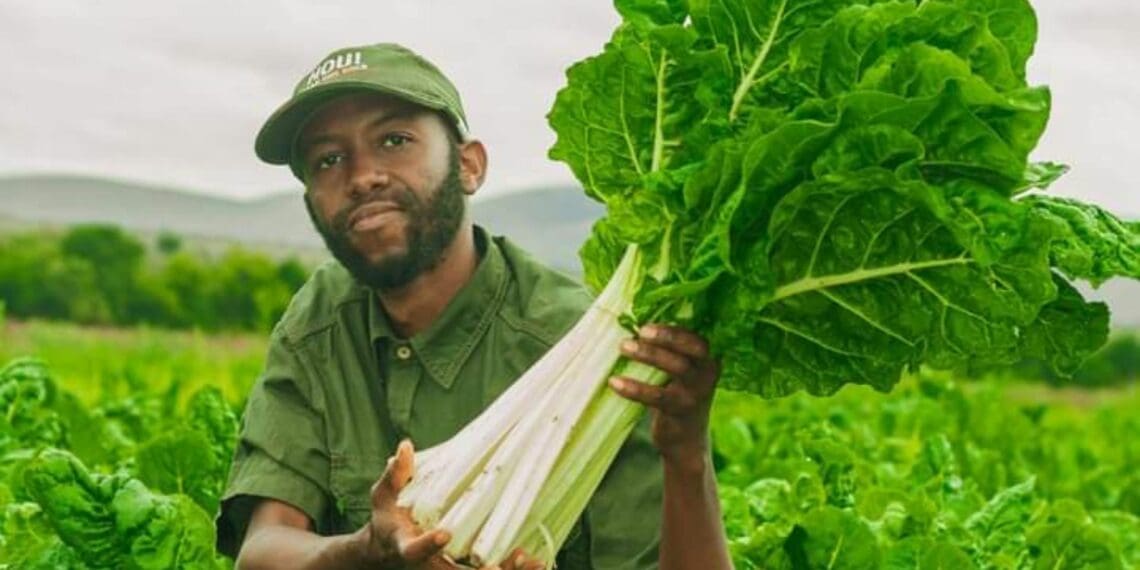 inspiration story about Limpopo farmer Nthakgwana Makuwa