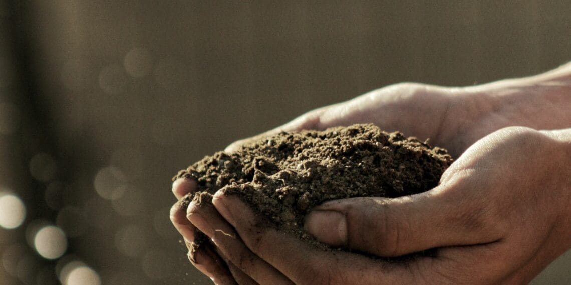 This week’s agri events: 27 November-01 December