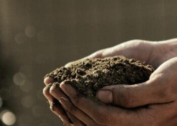 This week’s agri events: 27 November-01 December