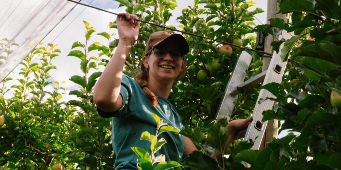UFS PhD candidate shines light on bats’ key role in fruit farming