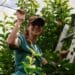 UFS PhD candidate shines light on bats’ key role in fruit farming