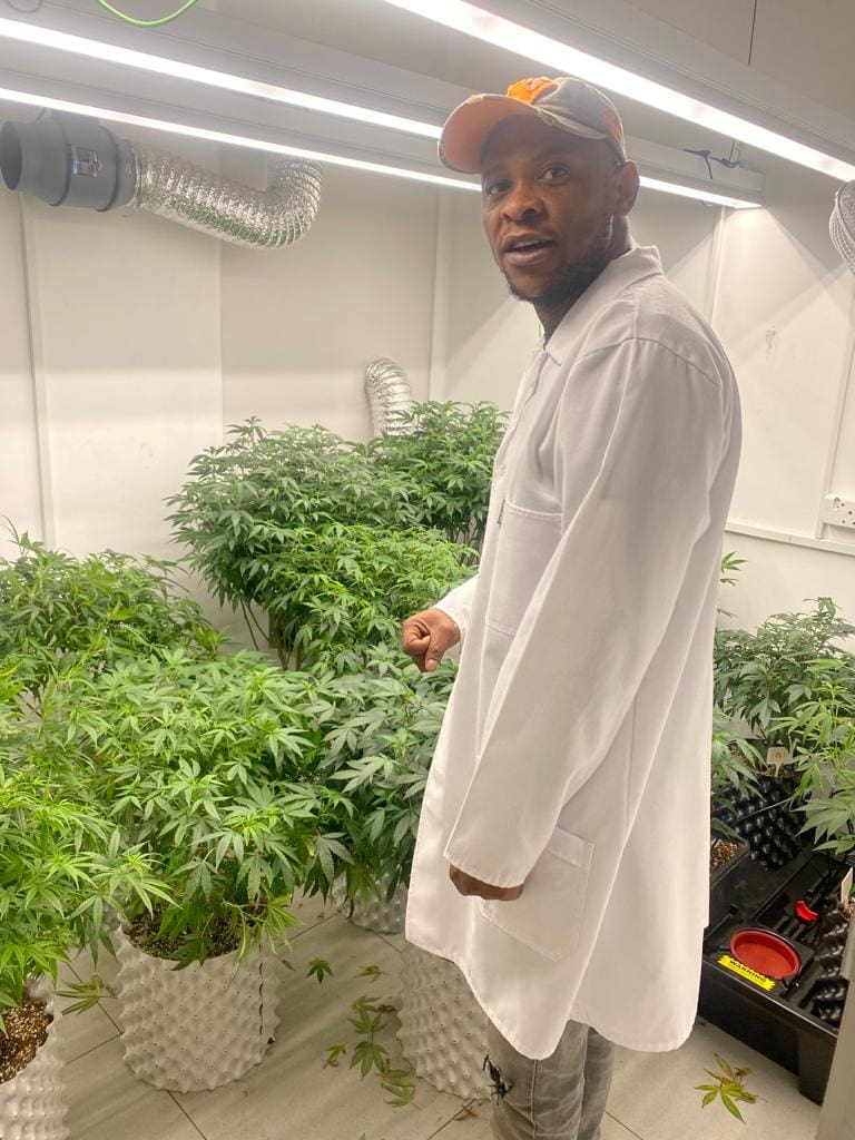 Ball set in motion as portfolio committee approves cannabis bill