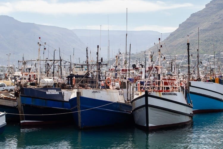 WC small-scale fishers win the long battle for fishing rights