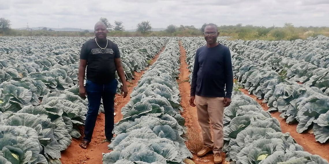 Eviction notice: 70 small-scale Limpopo farmers sent packing
