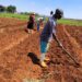 Growing futures: Gardens sprout in Mzansi with BLUU & FTFA