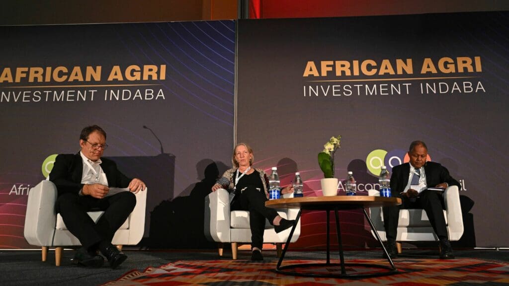 Addressing challenges: Discussions at the African Agri Investment Indaba 2023 spotlighted the urgent need for sustainable agricultural practices to combat climate change and ensure food security in Africa. Photo: Supplied/Ryan Wilkisky/BackpagePix